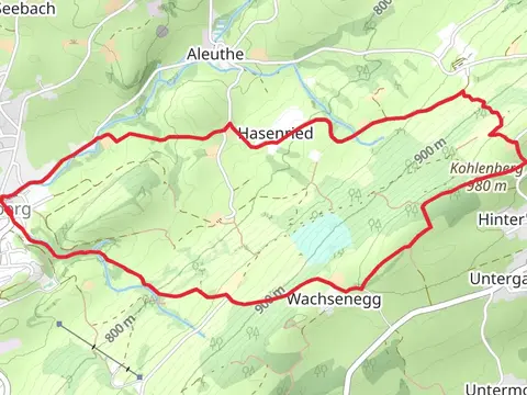 Heinrichweg and Sulzberg Loop