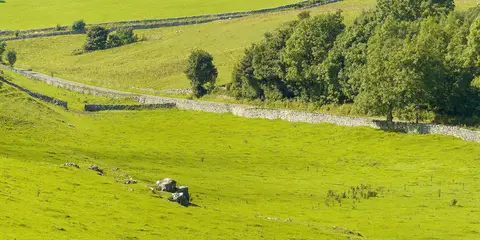 An image depicting the trail Tissington Trail and its surrounding area.