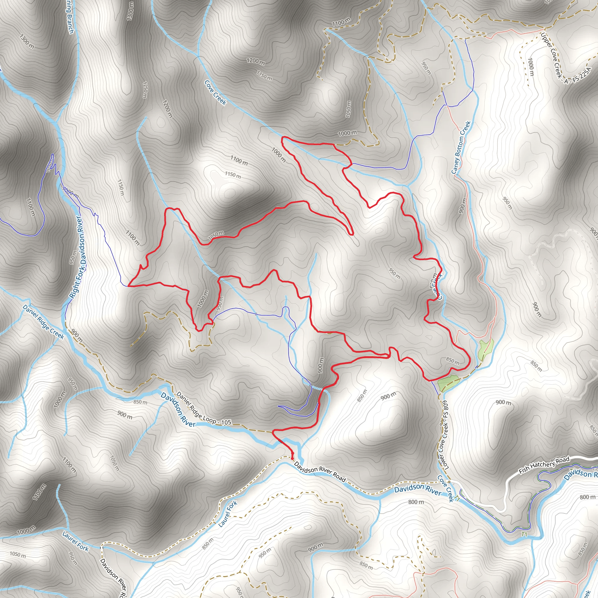 Daniel ridge and Cove Creek Loop Trail mobile static map