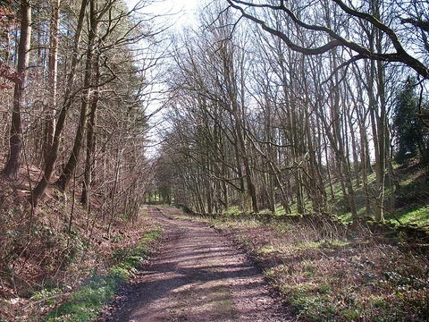 An image depicting the trail Masham Southern Loop and its surrounding area.