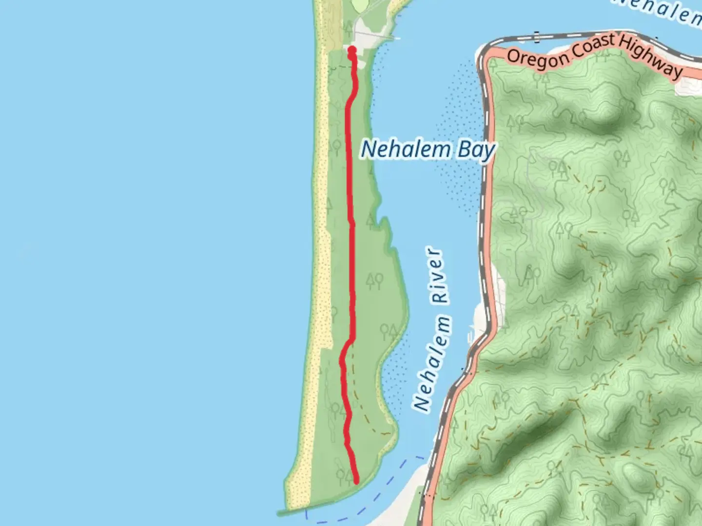 An image depicting the trail Nehalem Bay State Park Main Campgrounds and its surrounding area.