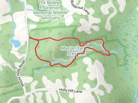 Green Trail Loop from Mount Holly Road