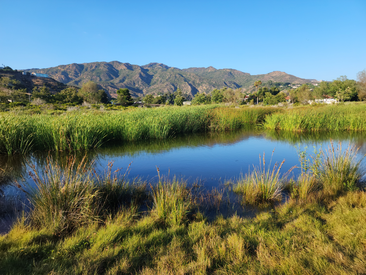 An image depicting the trail Legacy Park Loop and its surrounding area.