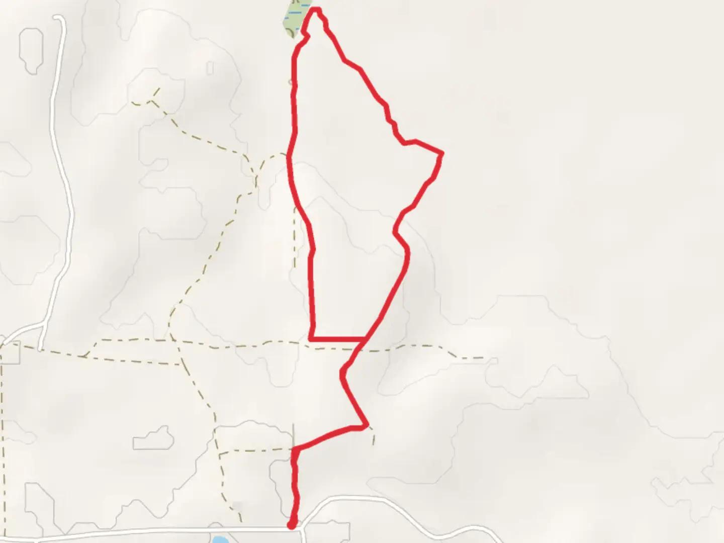 An image depicting the trail Moody Forest Tavia's Loop Trail and its surrounding area.