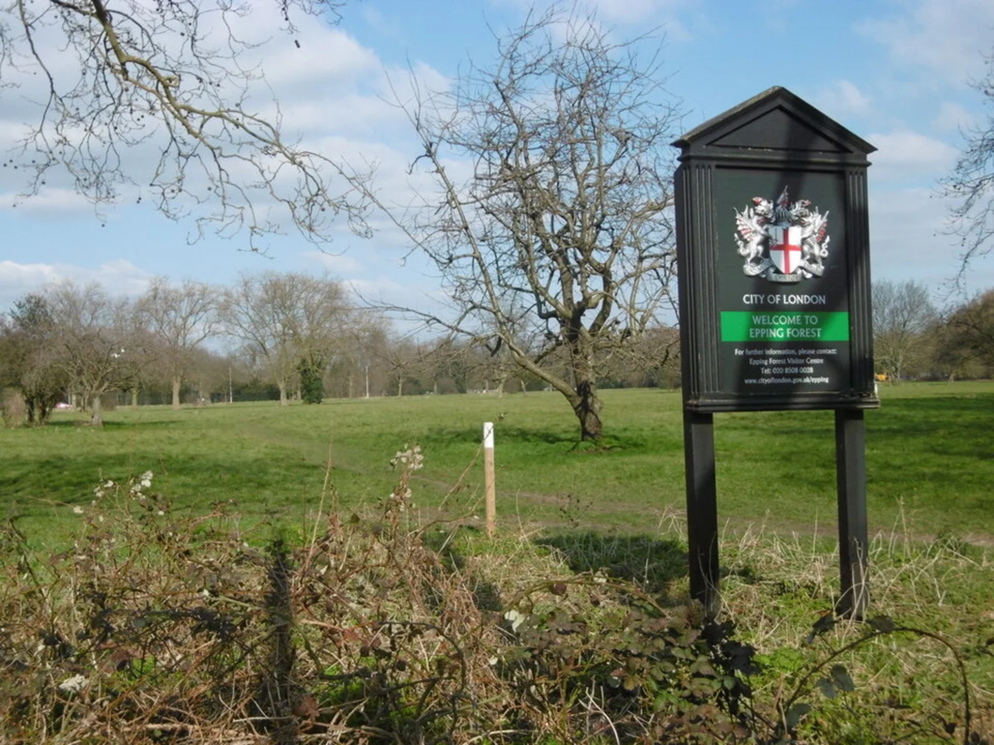 An image depicting the trail Wanstead Flats and its surrounding area.