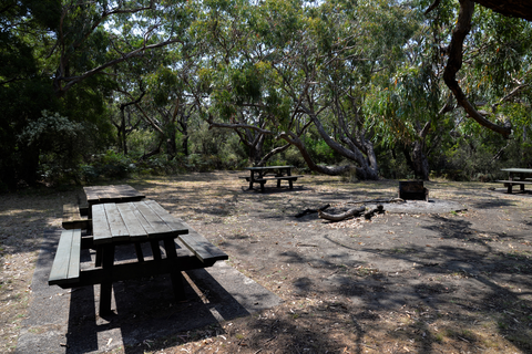 Great South West Walk