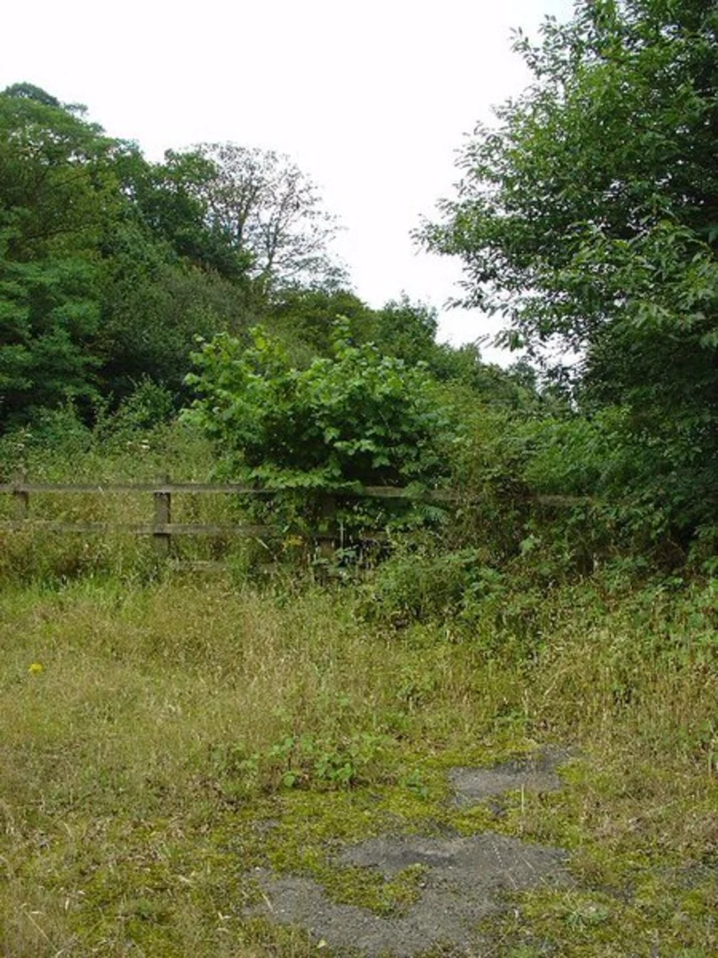 An image depicting the trail Handcross Circular Walk and its surrounding area.