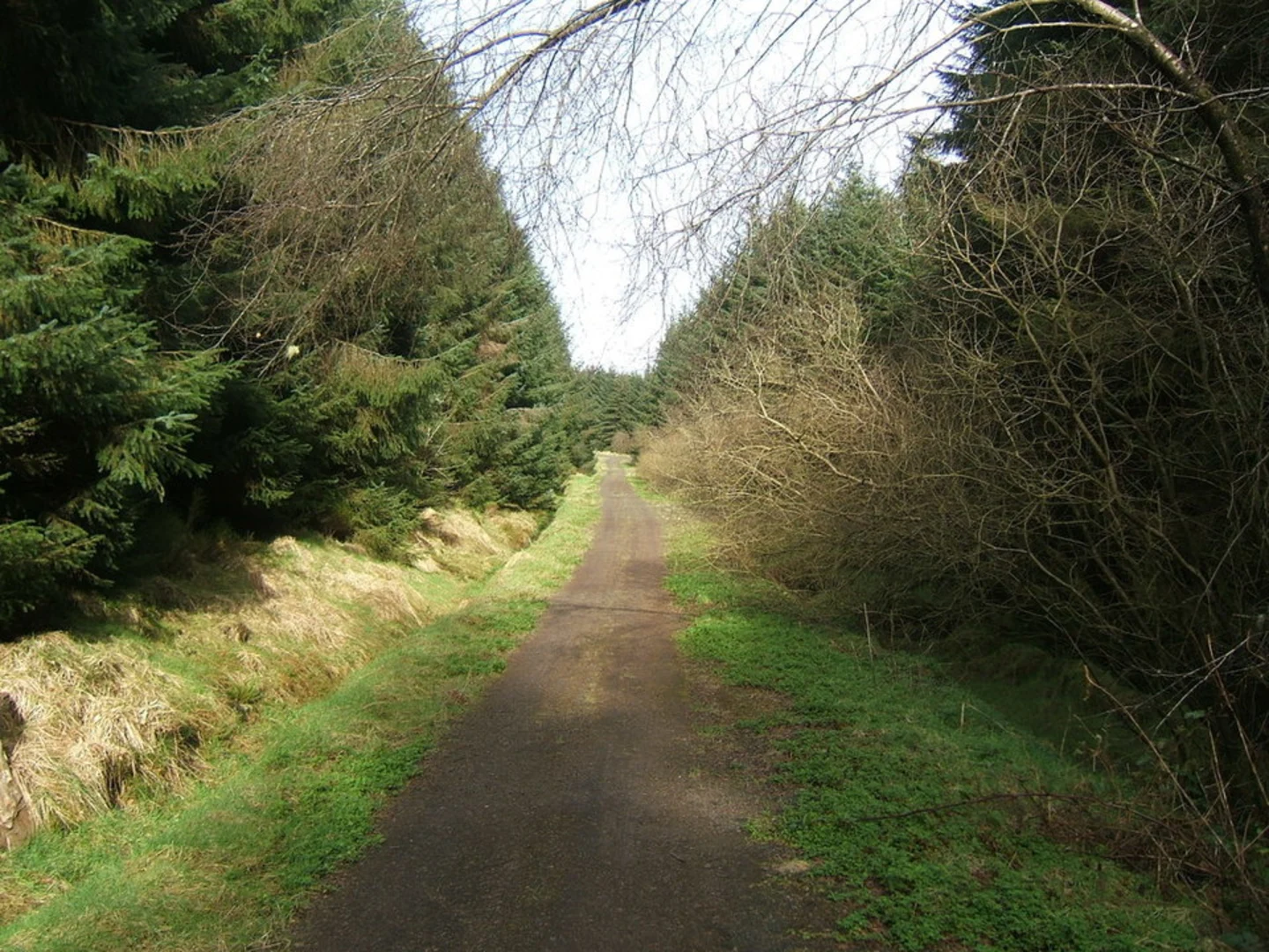 An image depicting the trail Loughermore Mountain Walk and its surrounding area.