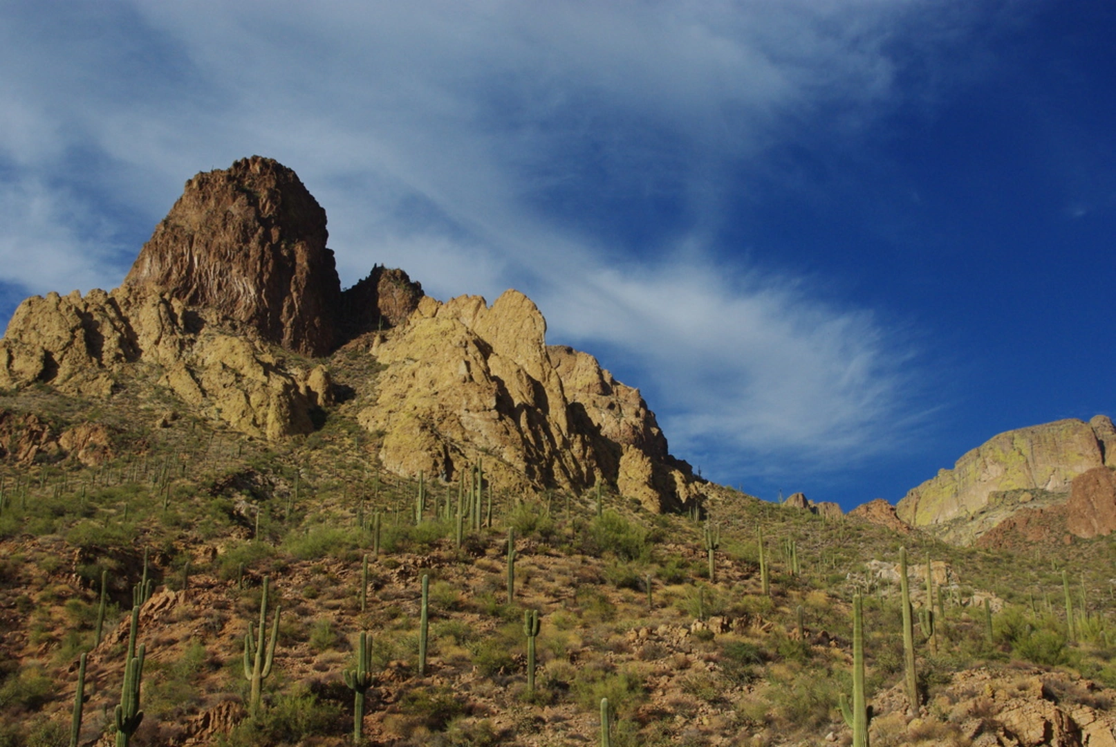 An image depicting the trail Bacon Trail via J F Trail and its surrounding area.