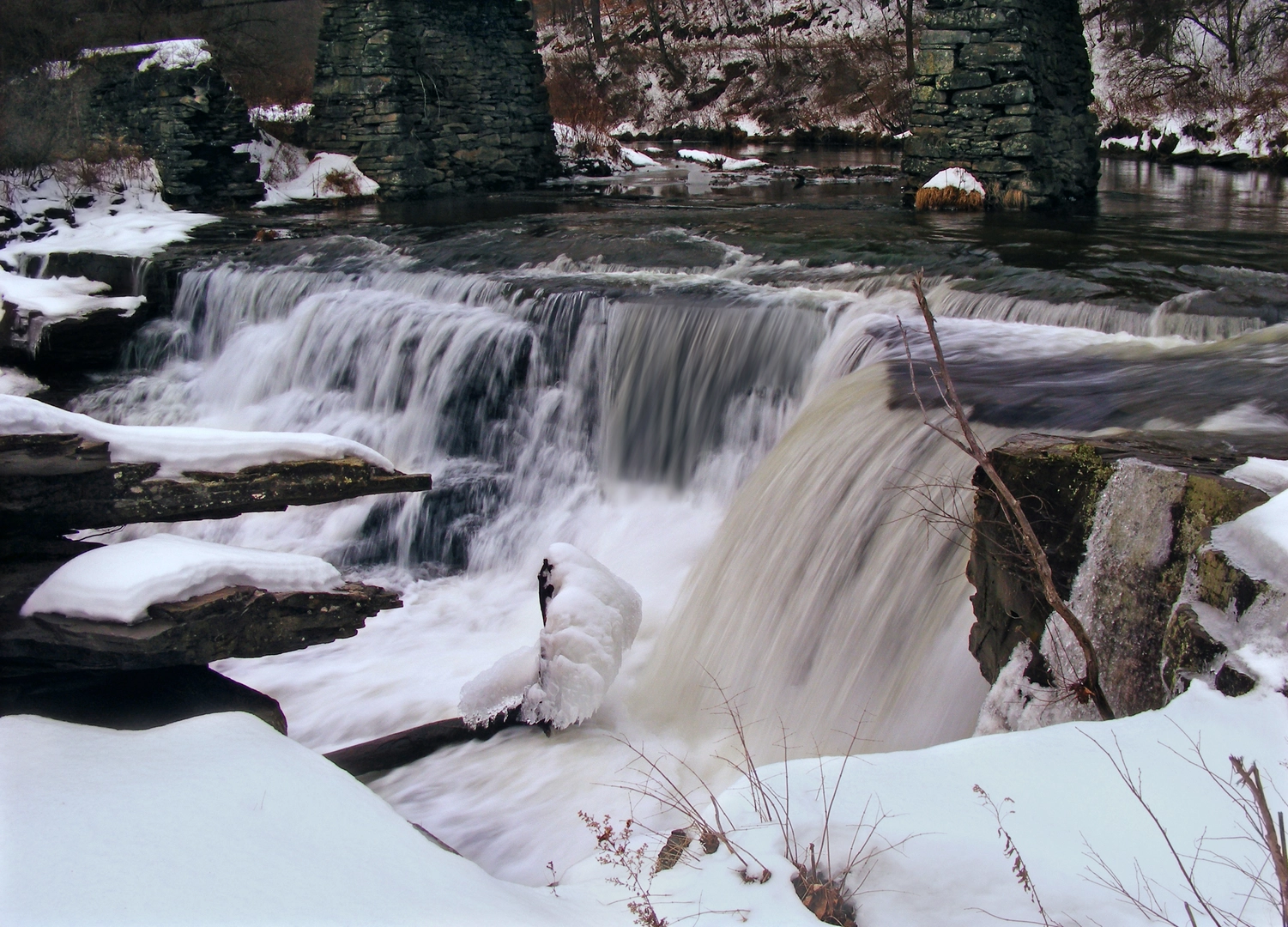 An image depicting the trail Tanners Falls Trail and its surrounding area.