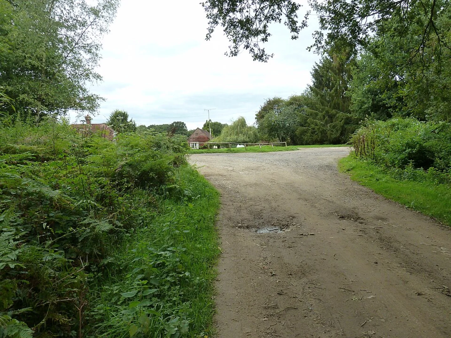 An image depicting the trail Stedham to Titty Hill and Redford Loop and its surrounding area.
