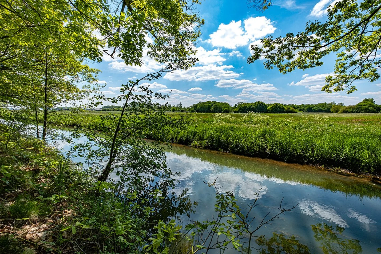 An image depicting the trail Schloss Kellenberg, NaturSchutzgebiet and River Rur Loop and its surrounding area.