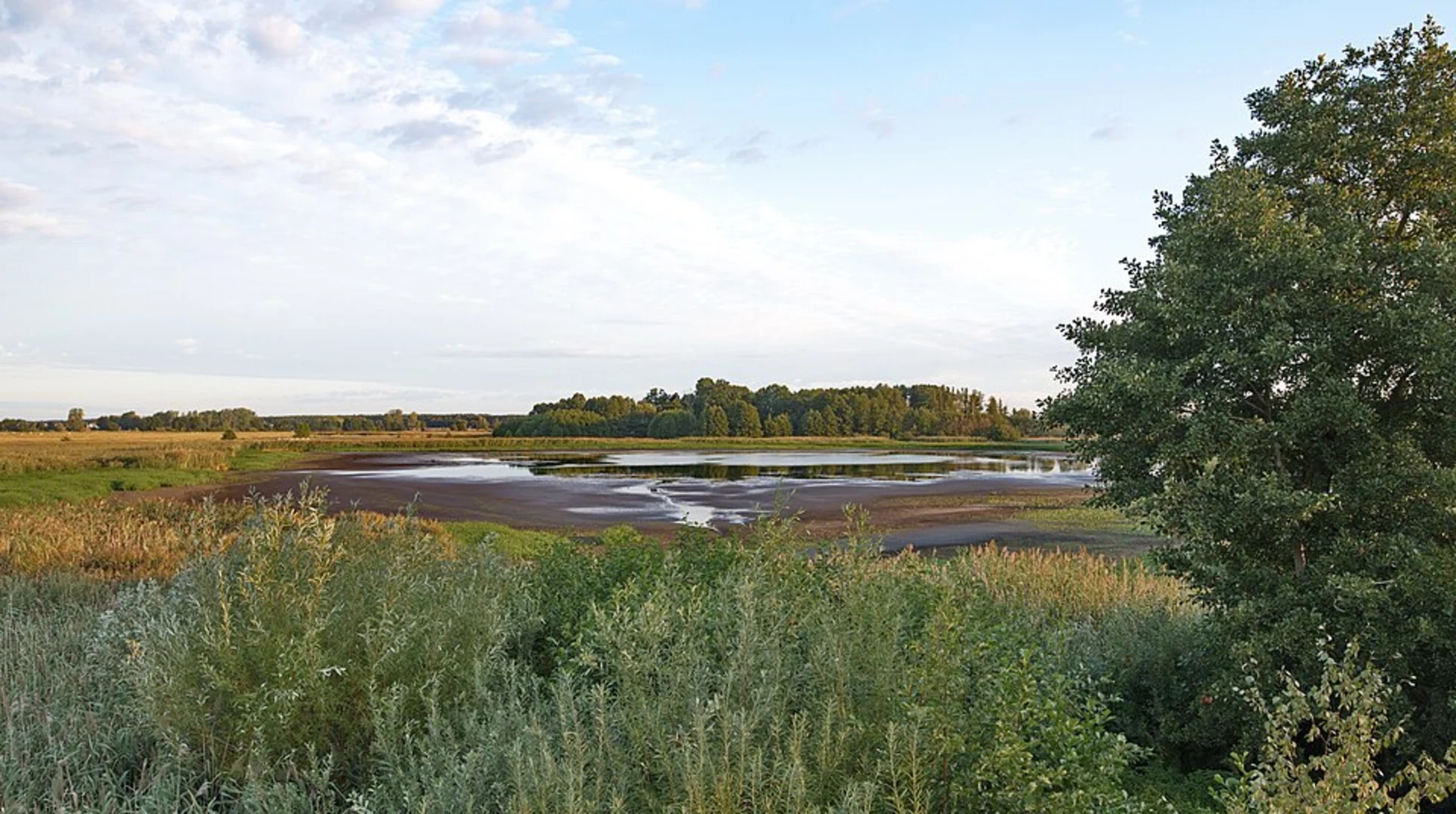 An image depicting the trail Grabenanlage to Afden Walk via Entenweiher and its surrounding area.