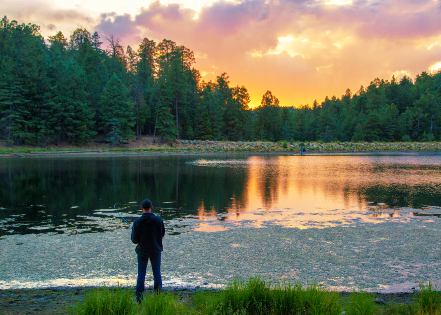 An image depicting the trail Jesus Goudy Ridge Trail and its surrounding area.