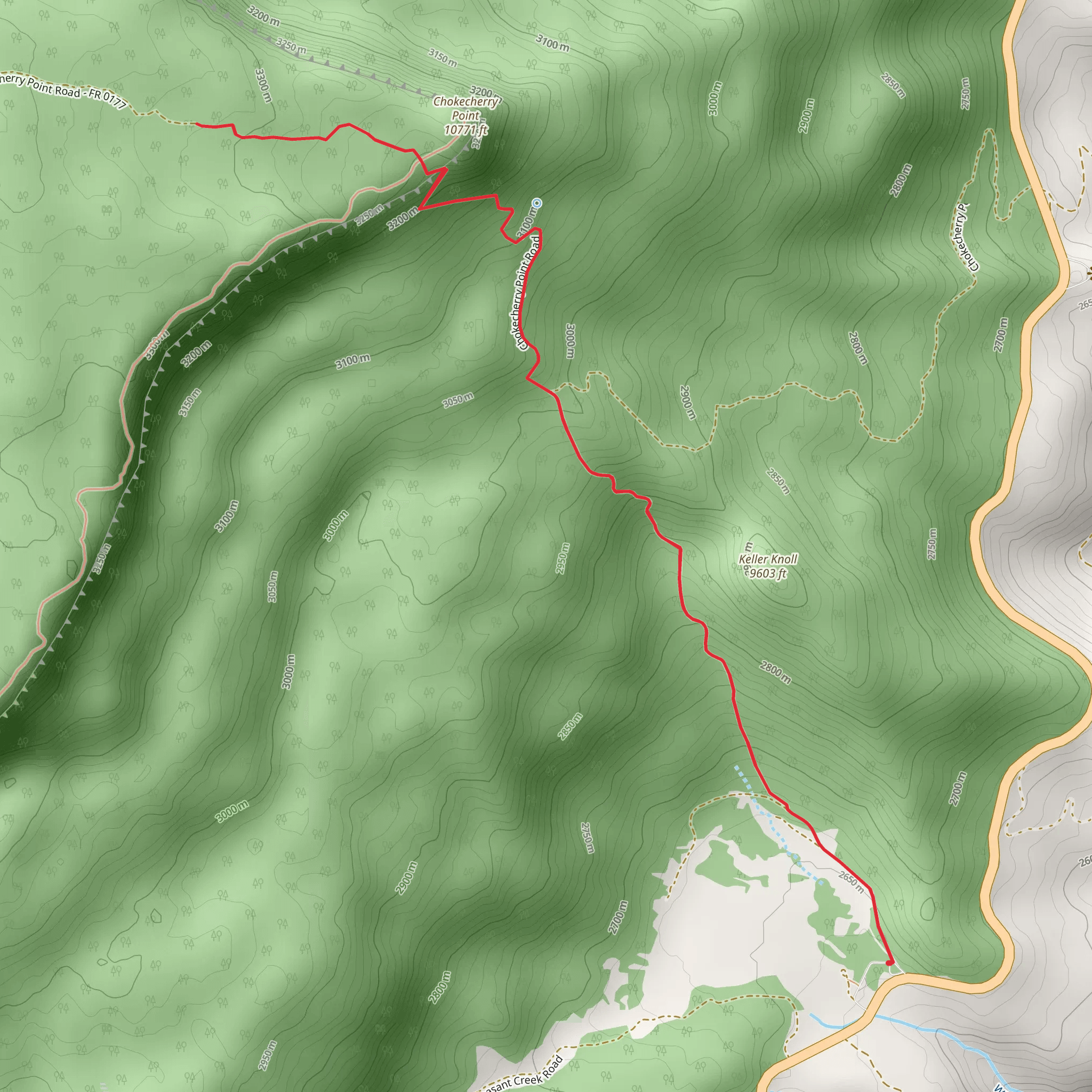 Wildcat Trail and Chokecherry Point Walk mobile static map