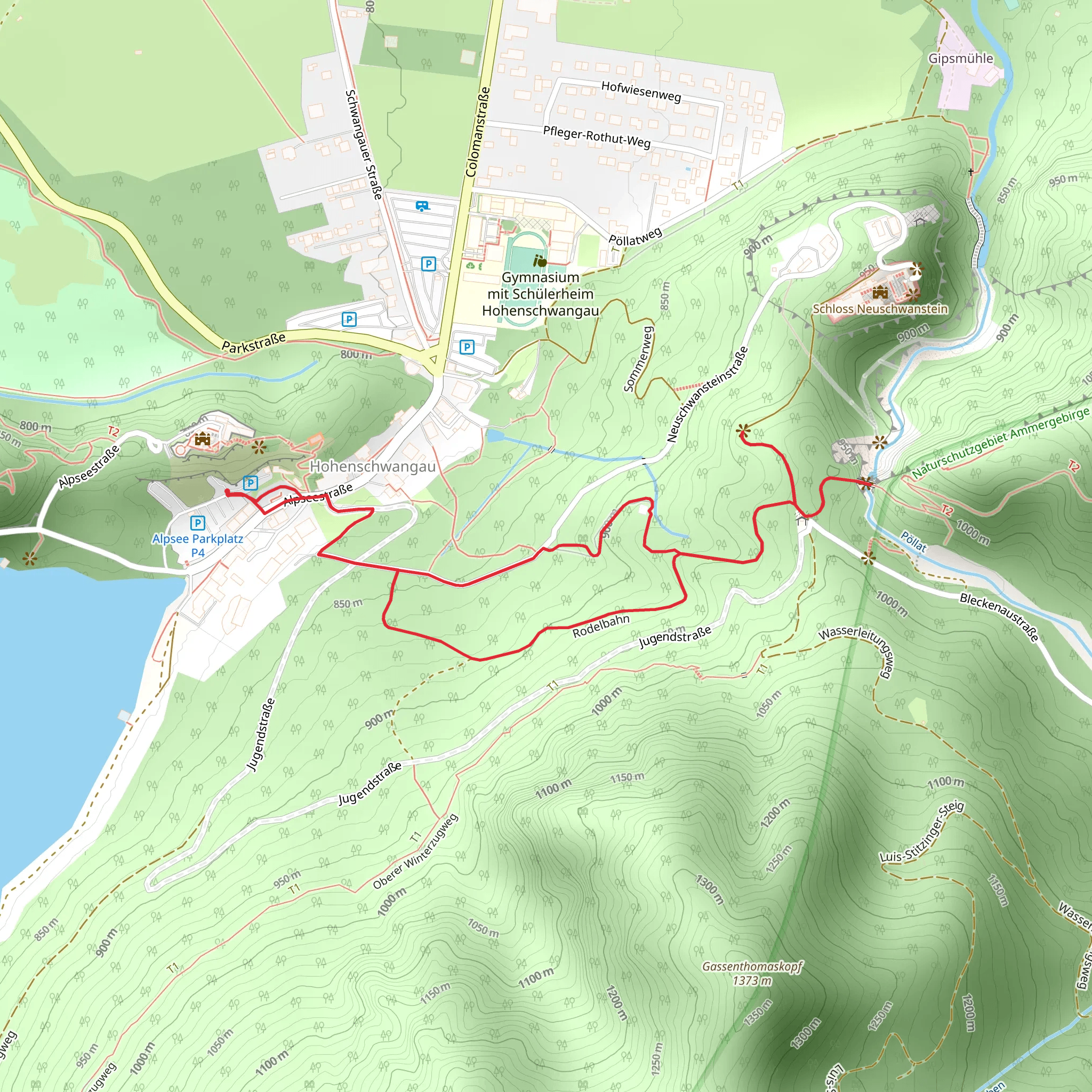 Panoramablick Schwangau and Queen Mary's Bridge via Neuschwansteinstraße mobile static map