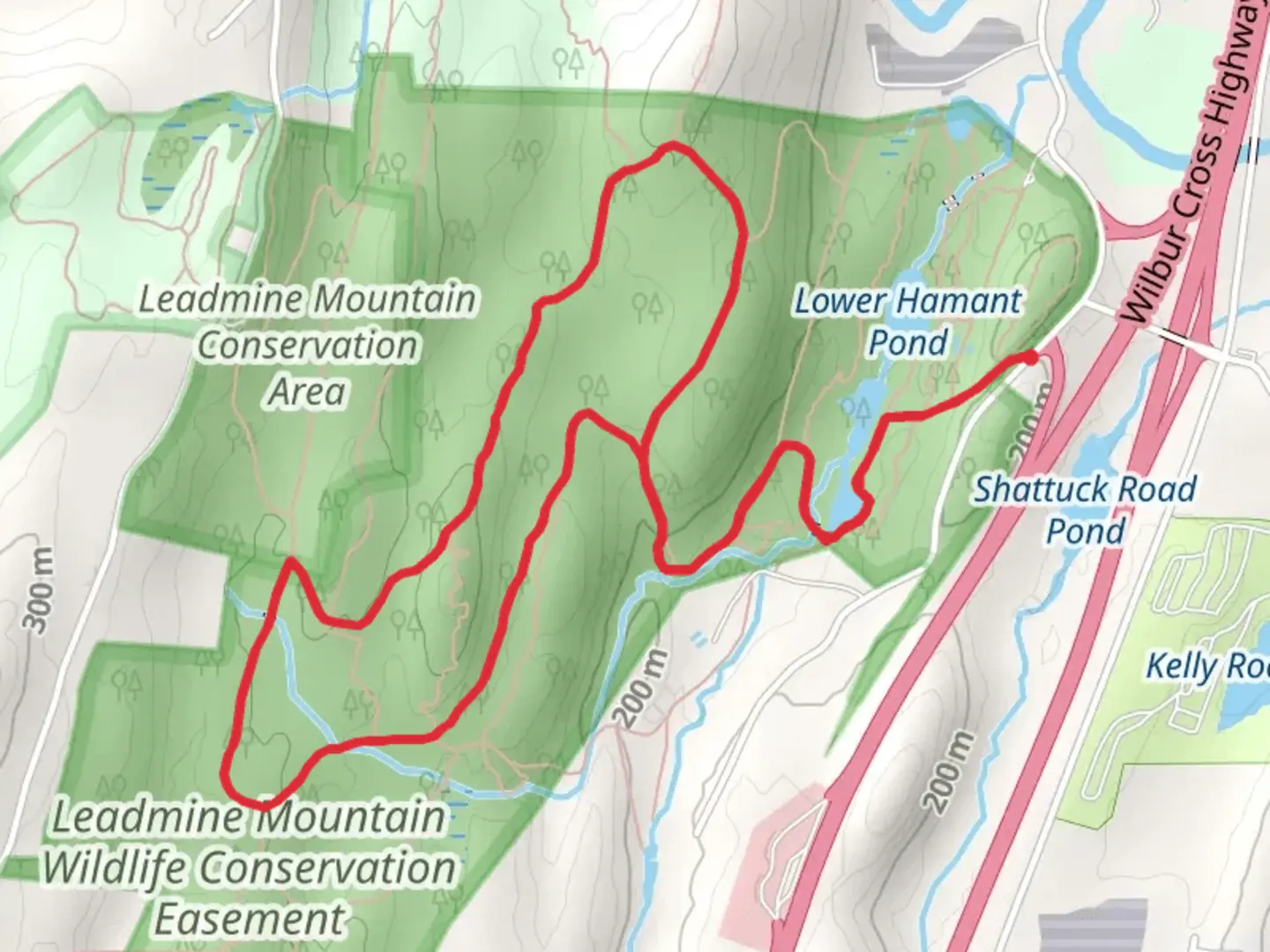 An image depicting the trail Mountain Laurel Trail Loop via Upper Hamant Pond and its surrounding area.