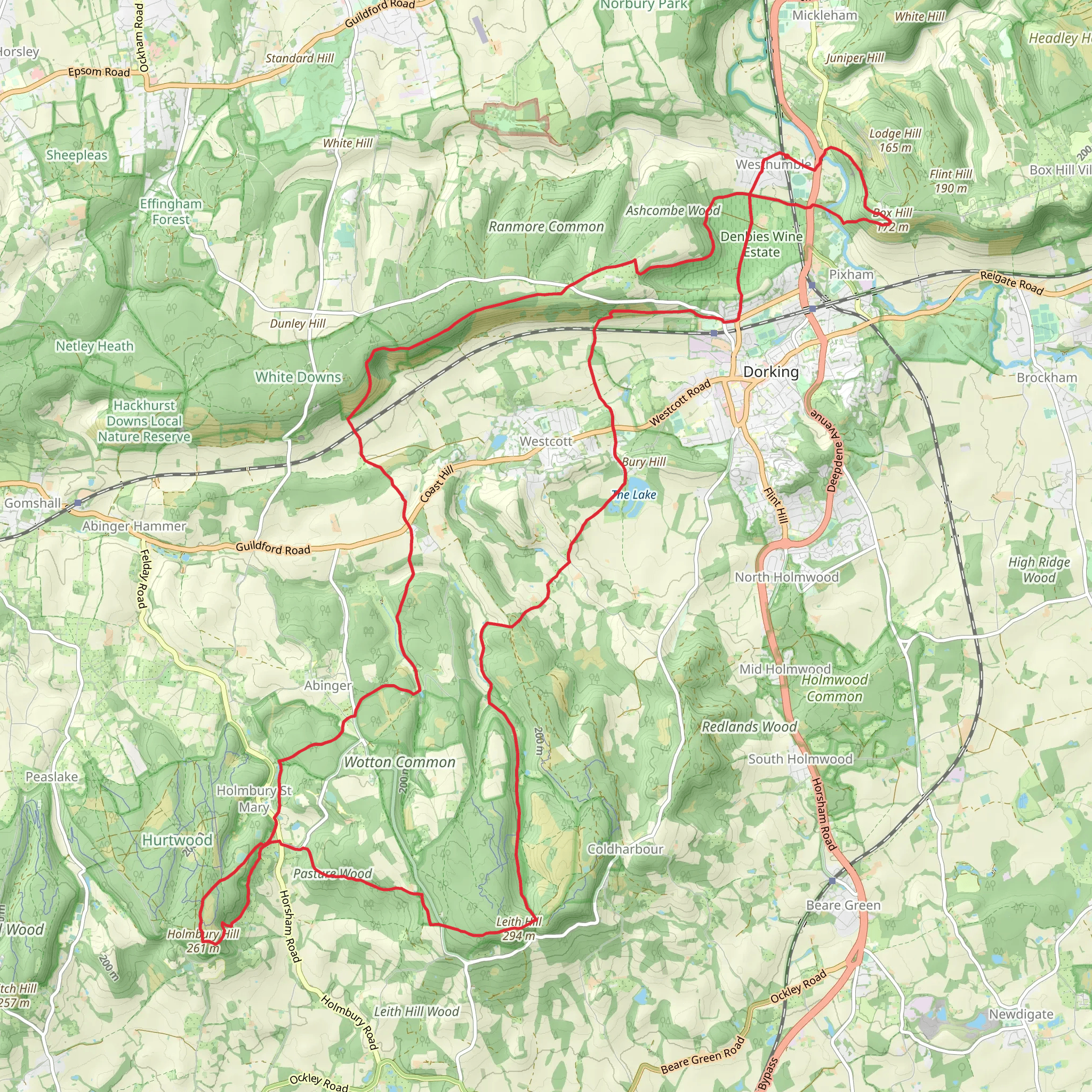 Box Hill Viewpoint, Stepping Stones and Pasture Wood via Mole Gap Trail mobile static map