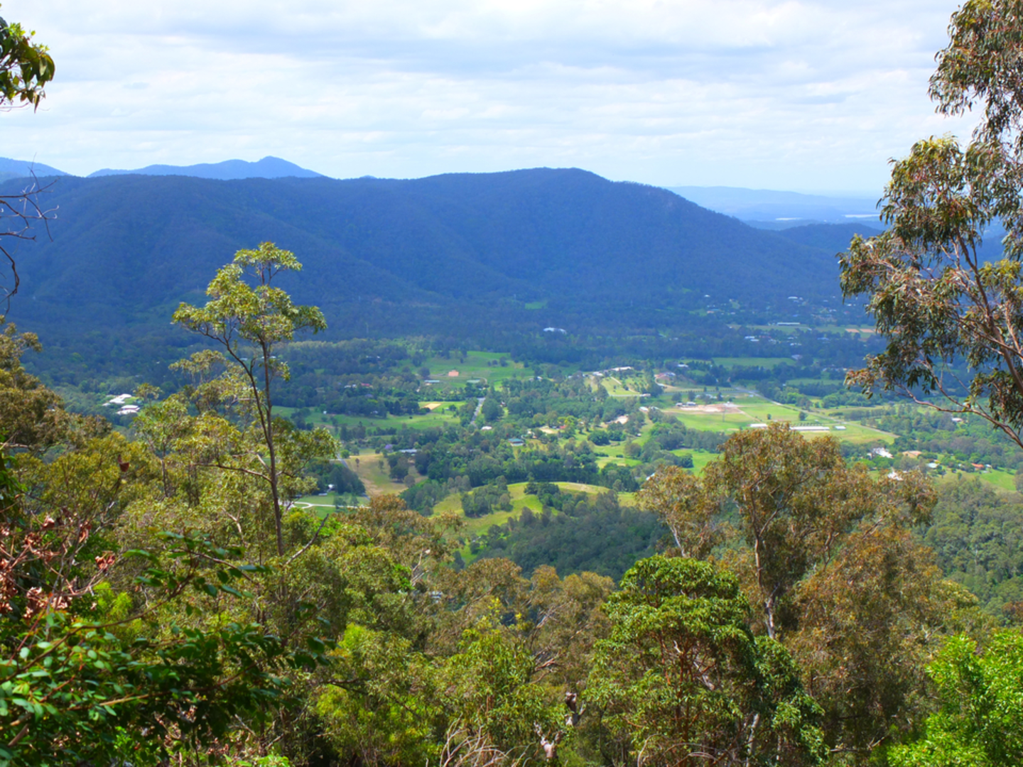 An image depicting the trail Augies's Circuit and its surrounding area.