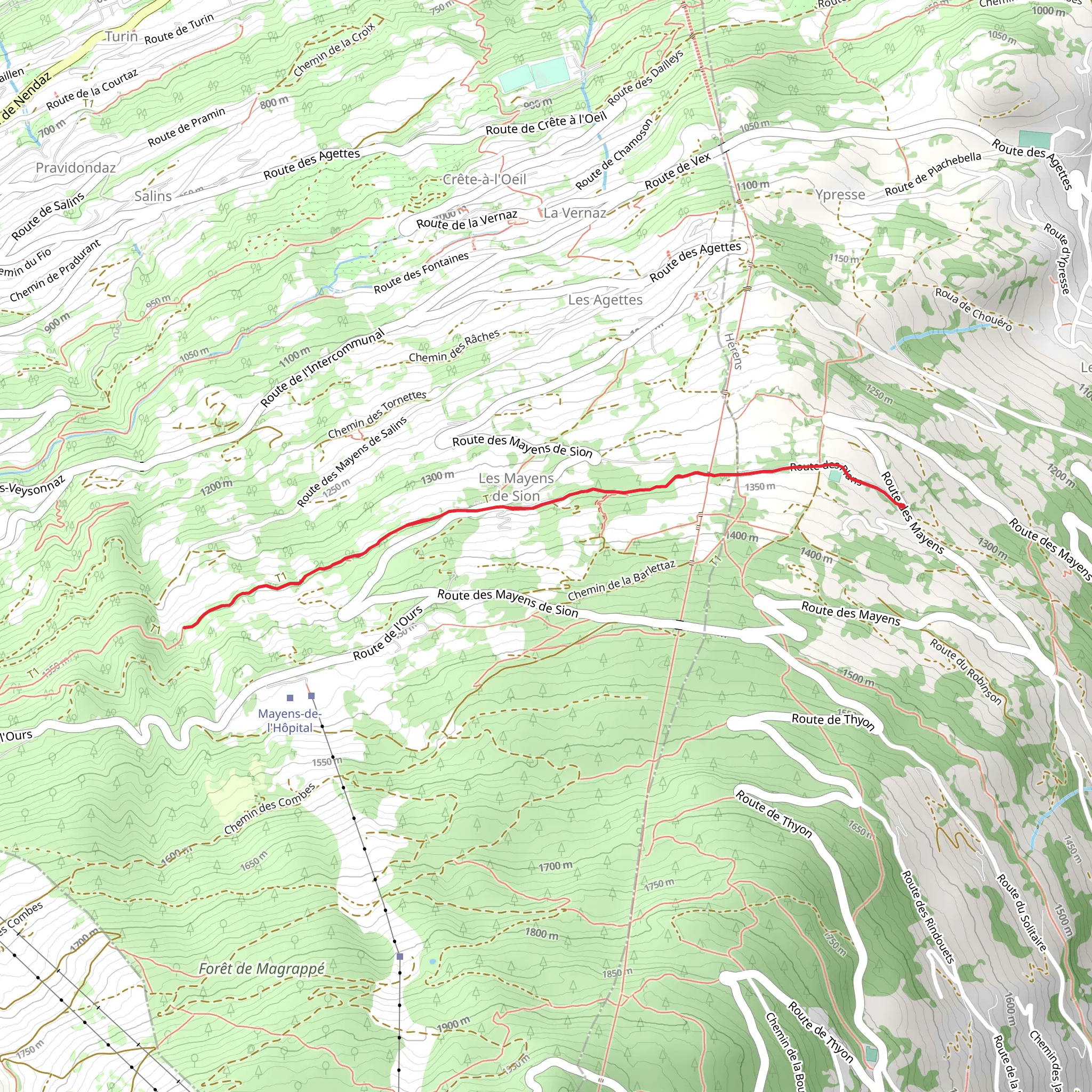 Chemin du Grand Bisse de Vex mobile static map