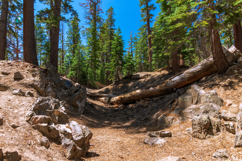 An image depicting the trail Earthquake Fault Trail and its surrounding area.