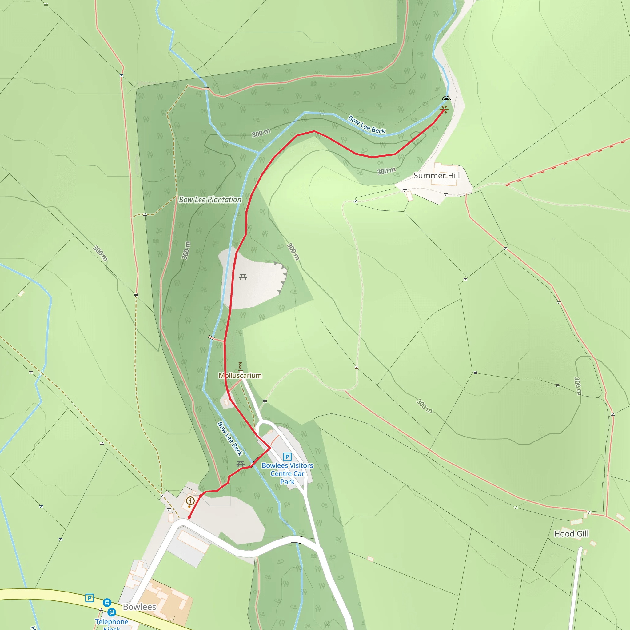 Summerhill Force Walk mobile static map