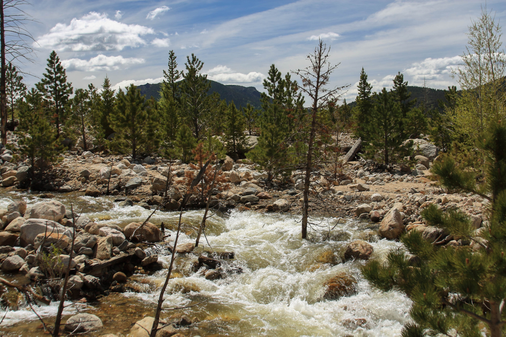 An image depicting the trail Lawn Lake Trail and its surrounding area.