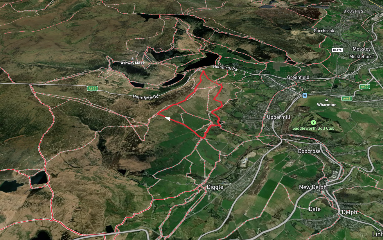 Primrose Hill, Dick Hill and Board Hill Loop