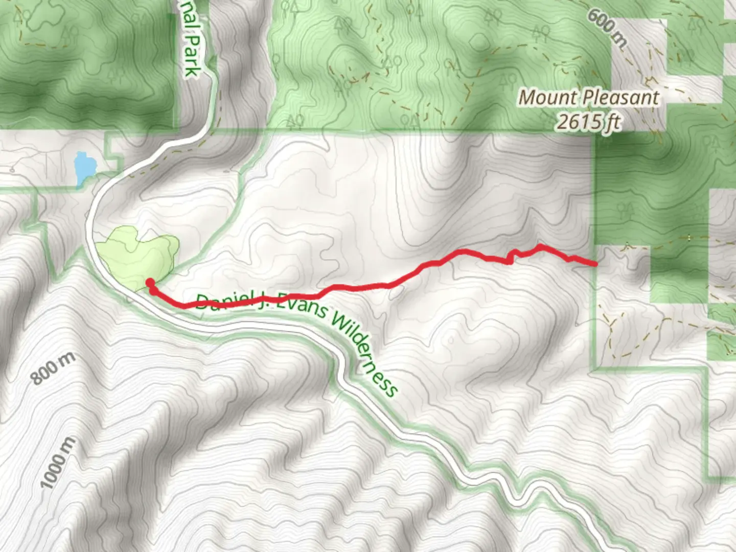 An image depicting the trail Heart of The Forest Trail and its surrounding area.