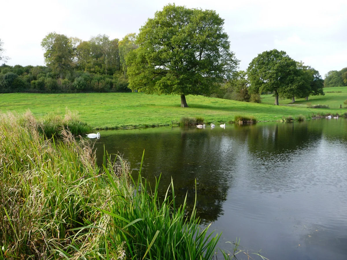 Alton to Hawkley Walk