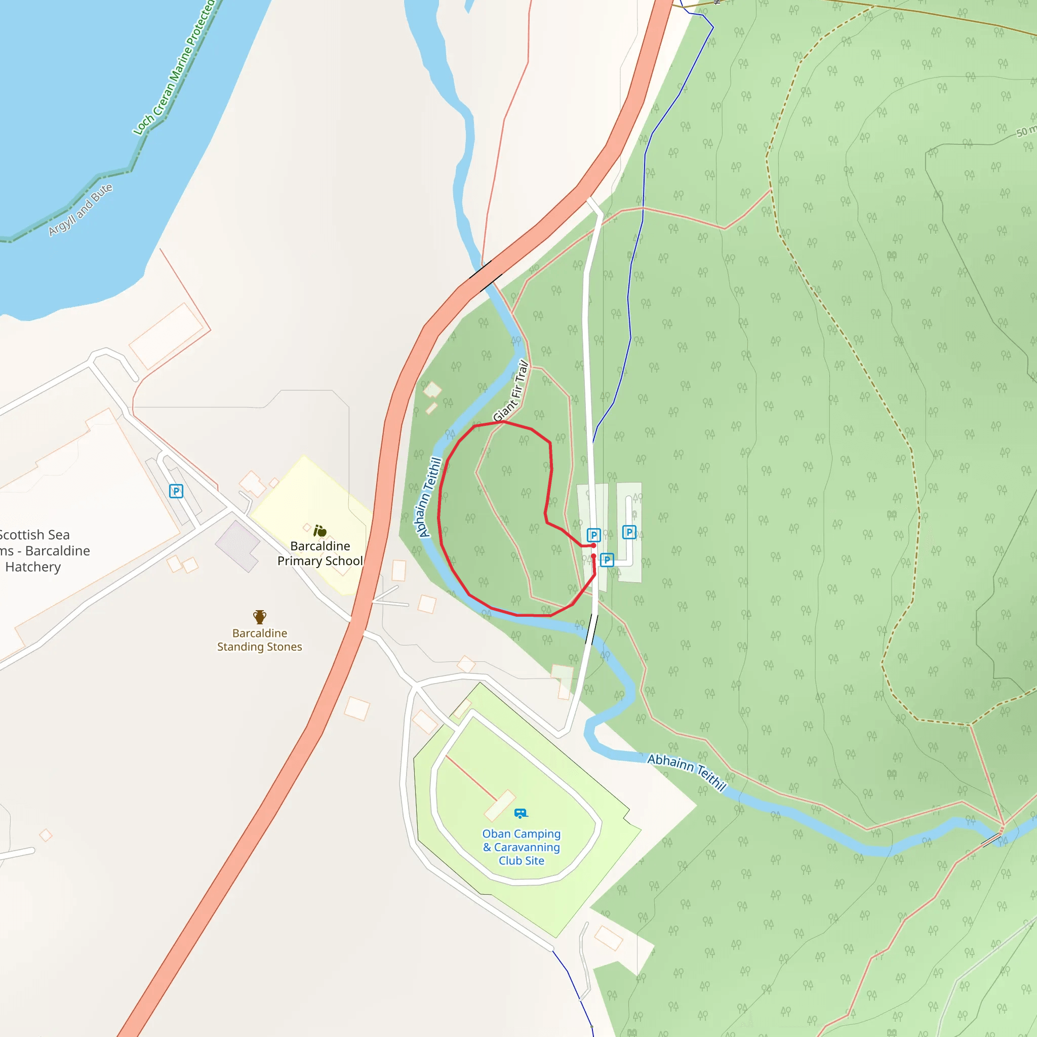 Giant Fir Loop Trail mobile static map