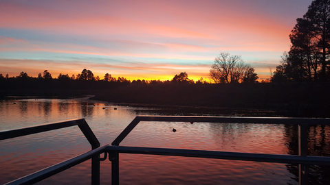 An image depicting the trail Turkey Track Trail and its surrounding area.