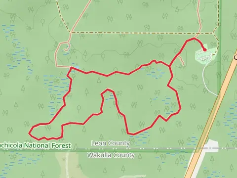 Crossover - Gumswamp Loop Trail