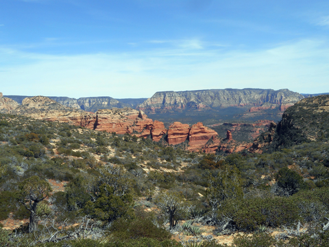 An image depicting the trail Boynton Canyon Trail and its surrounding area.