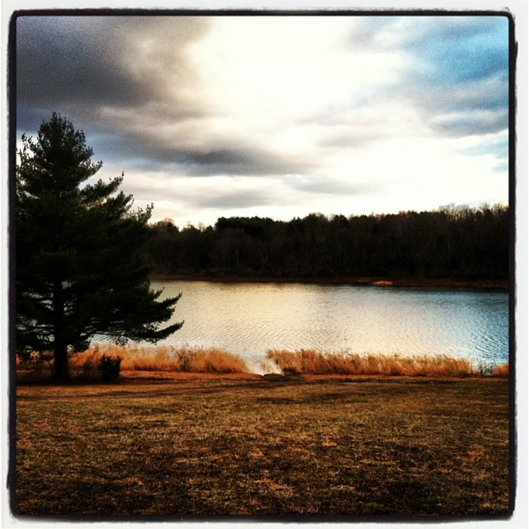 An image depicting the trail Opossum Lake Loop and its surrounding area.