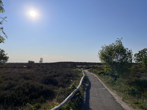 Spoorbos and Orienteertafel Loop