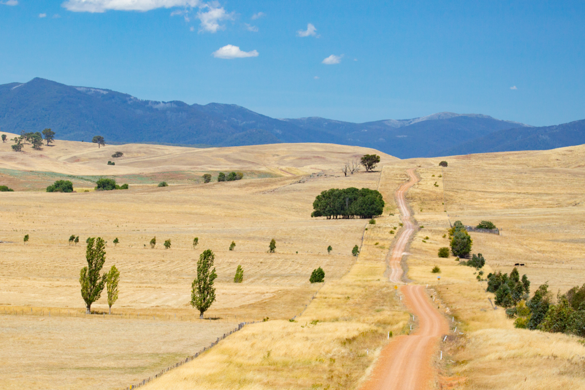 Davon's Flat to Eagles Peak Trail