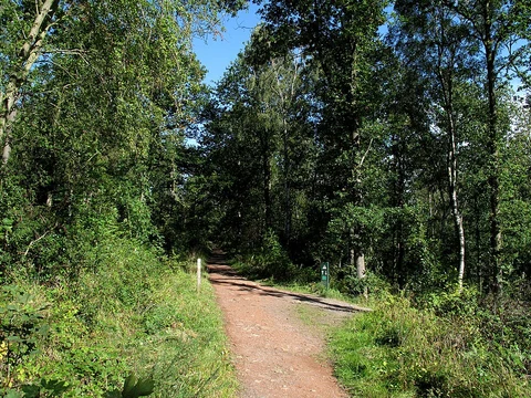 North Plantation Loop