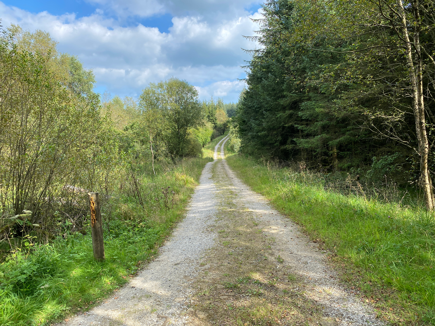 An image depicting the trail Clitheroe 60K Walk and its surrounding area.