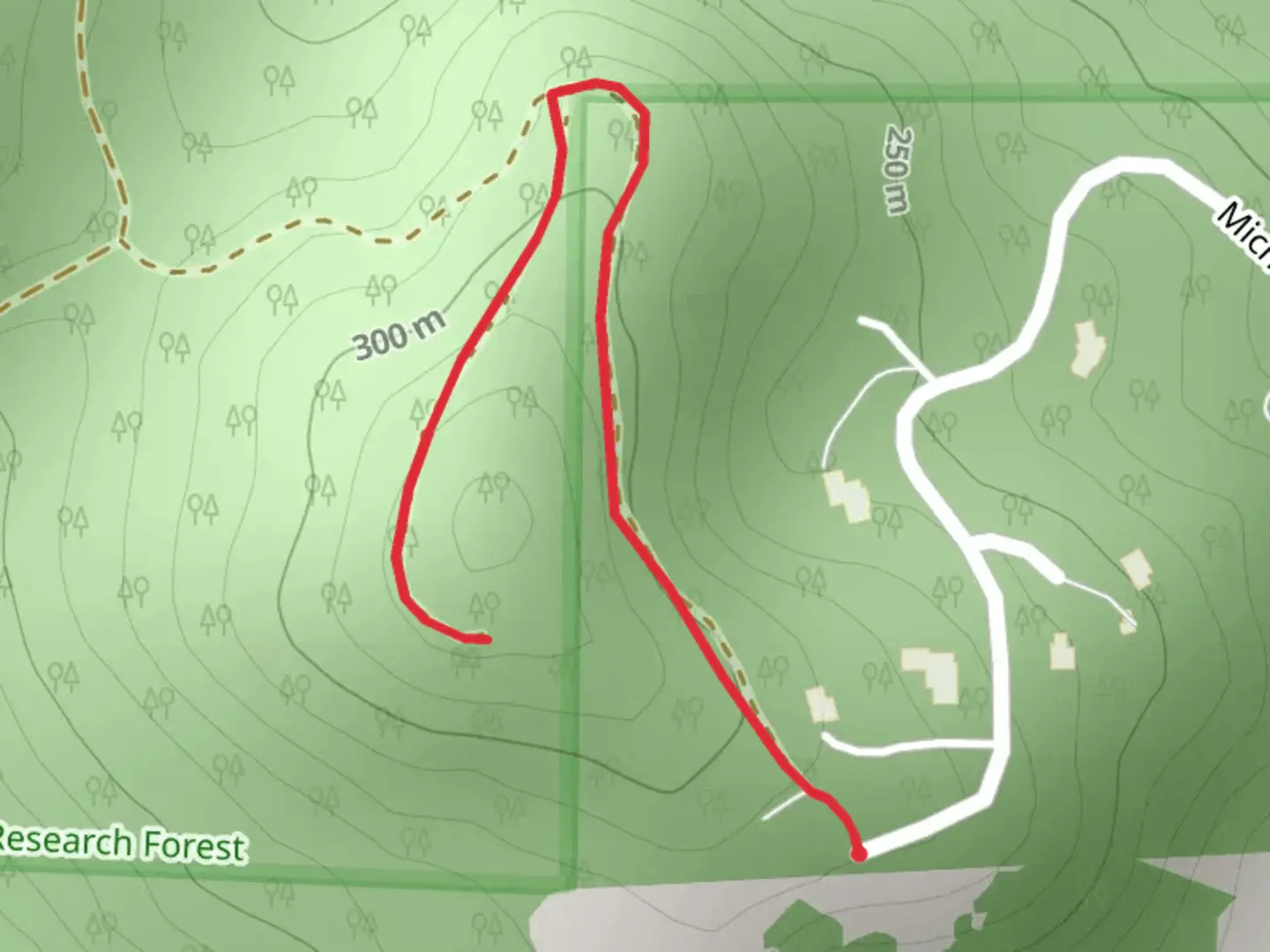 An image depicting the trail Michelle Road and its surrounding area.