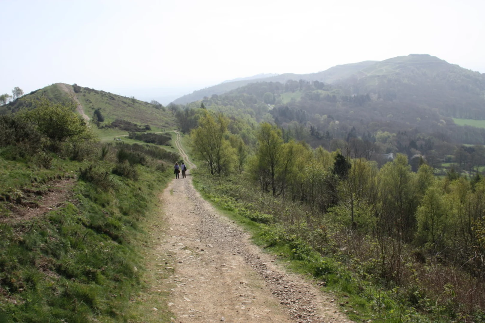 An image depicting the trail Summer Hill, Pinnacle Hill, Jubilee Hill and Perseverance Hill Loop and its surrounding area.