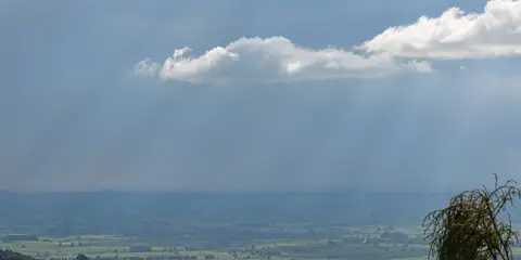 An image depicting the trail Ngamuwahine Track and its surrounding area.