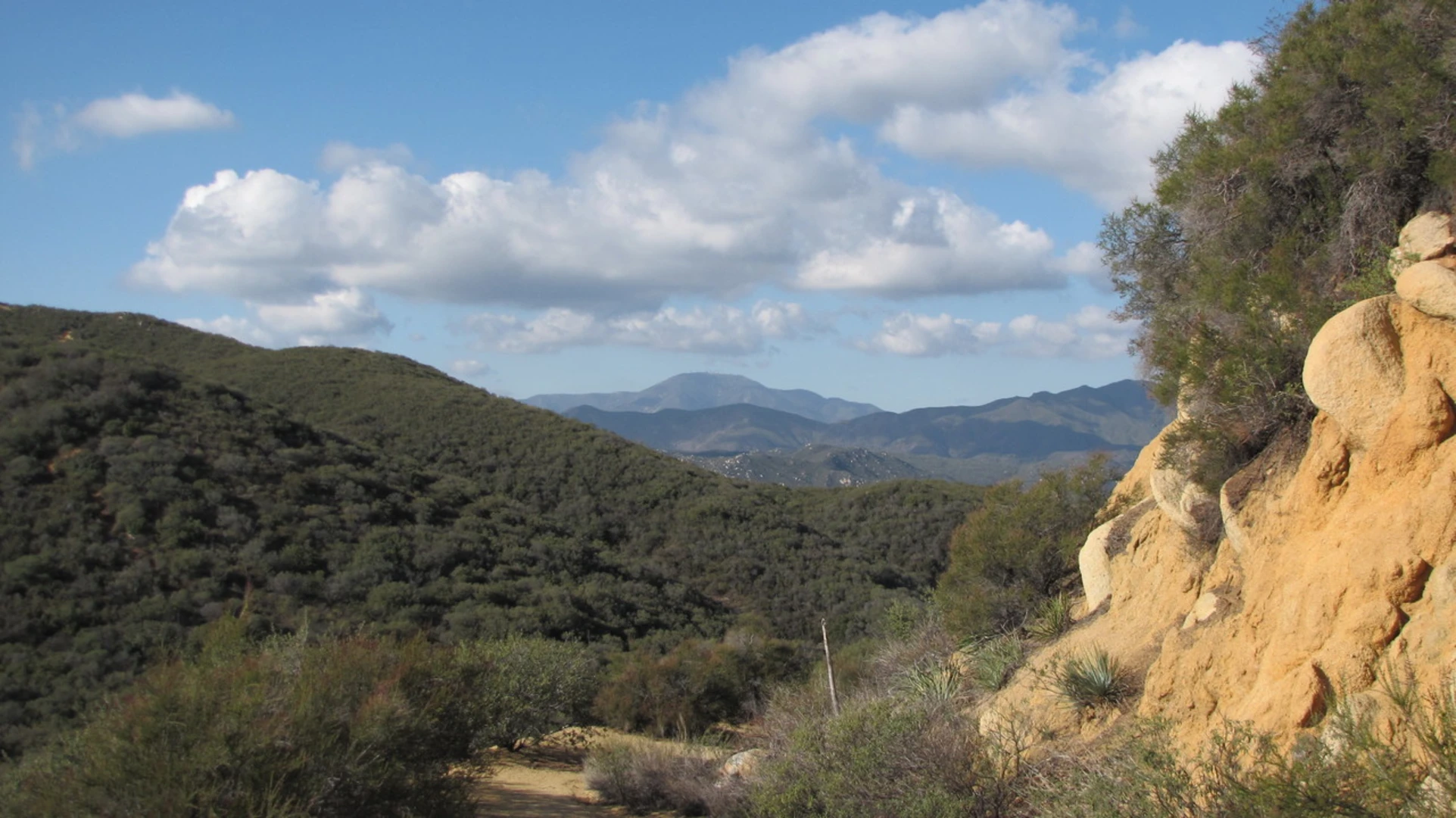 An image depicting the trail Sitton Peak via Bear Canyon Trail and its surrounding area.