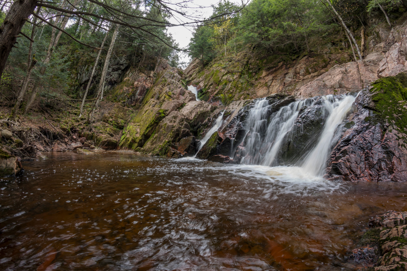 An image depicting the trail Morgan Falls and Saint Peter's Dome Trail and its surrounding area.