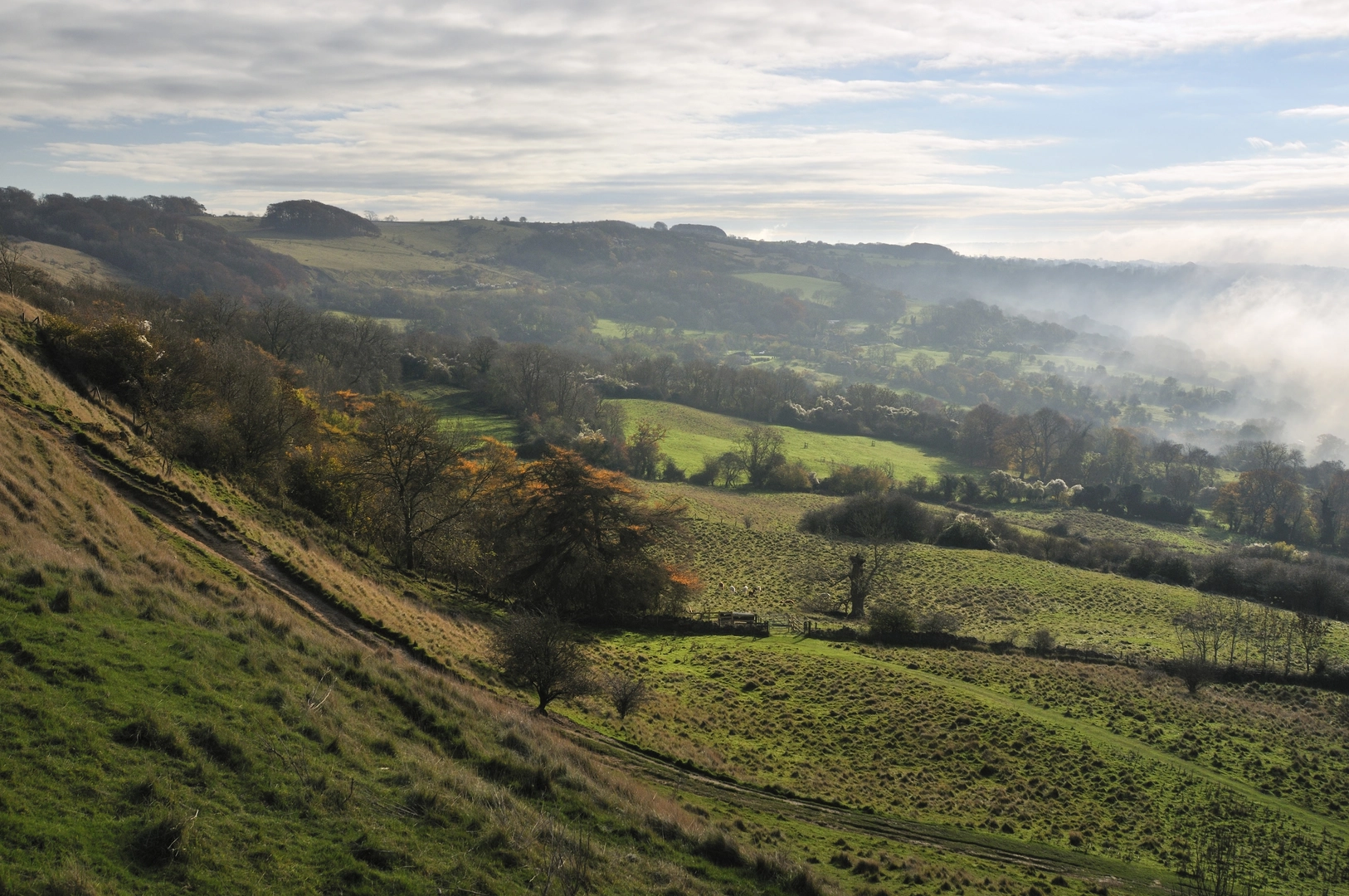 An image depicting the trail Cotwolds Cleeve Hill Circular and its surrounding area.