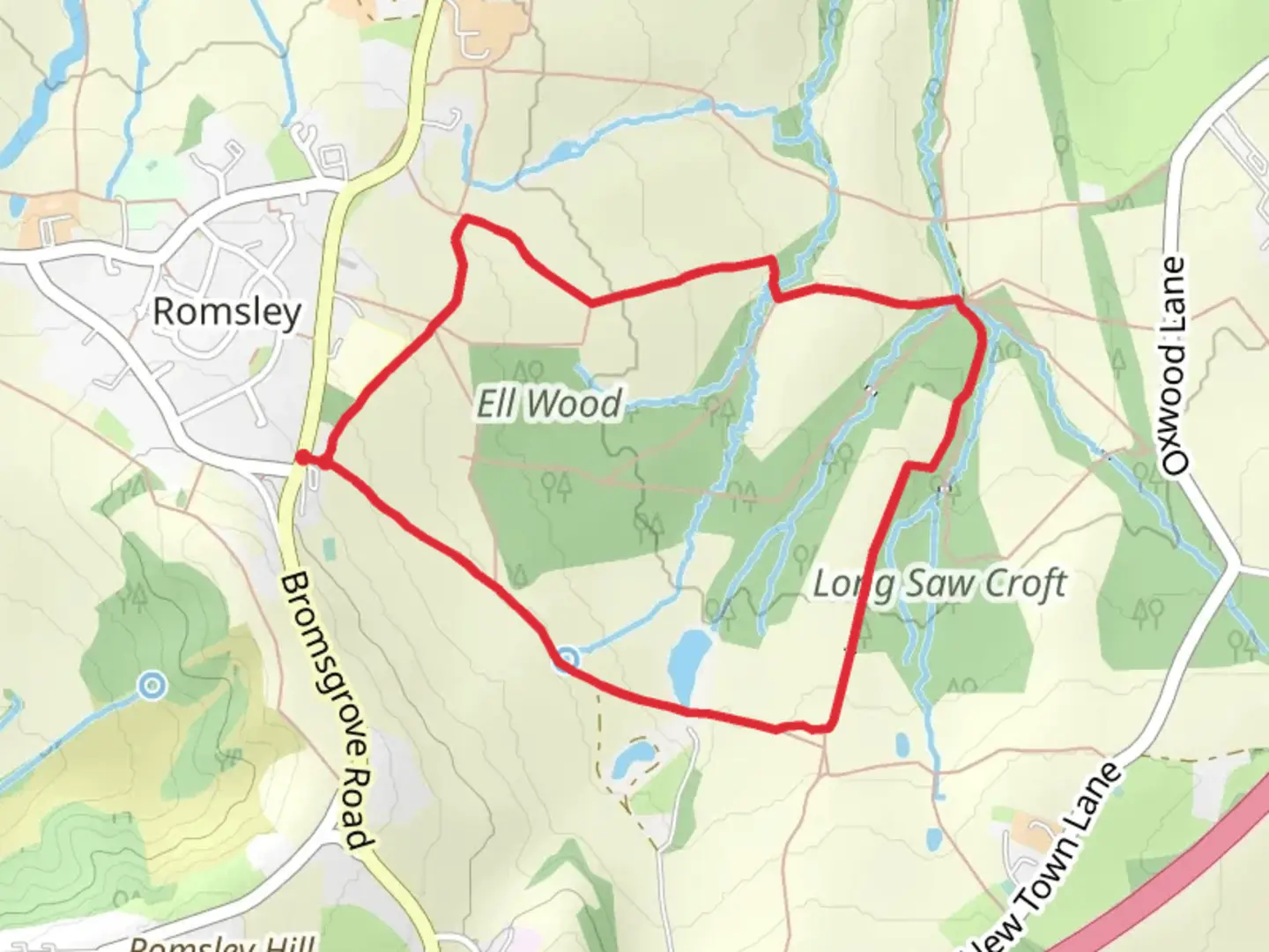 An image depicting the trail Romsley Wood Loop and its surrounding area.