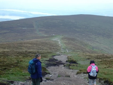 An image depicting the trail Djouce Mountain Loop and its surrounding area.