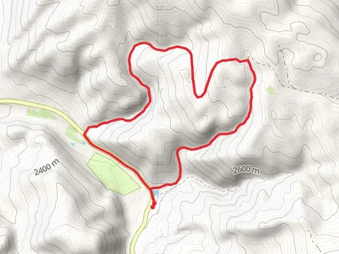 Log Hollow Loop Trail