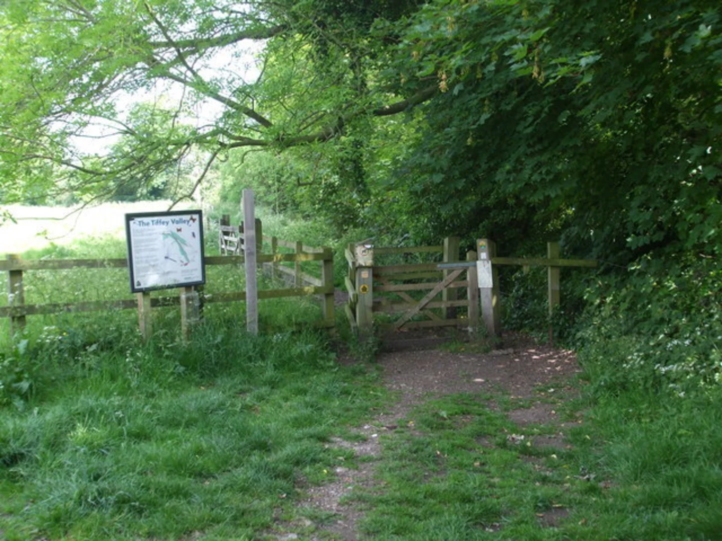 An image depicting the trail Wymondham Tiffey Valley Walk and its surrounding area.