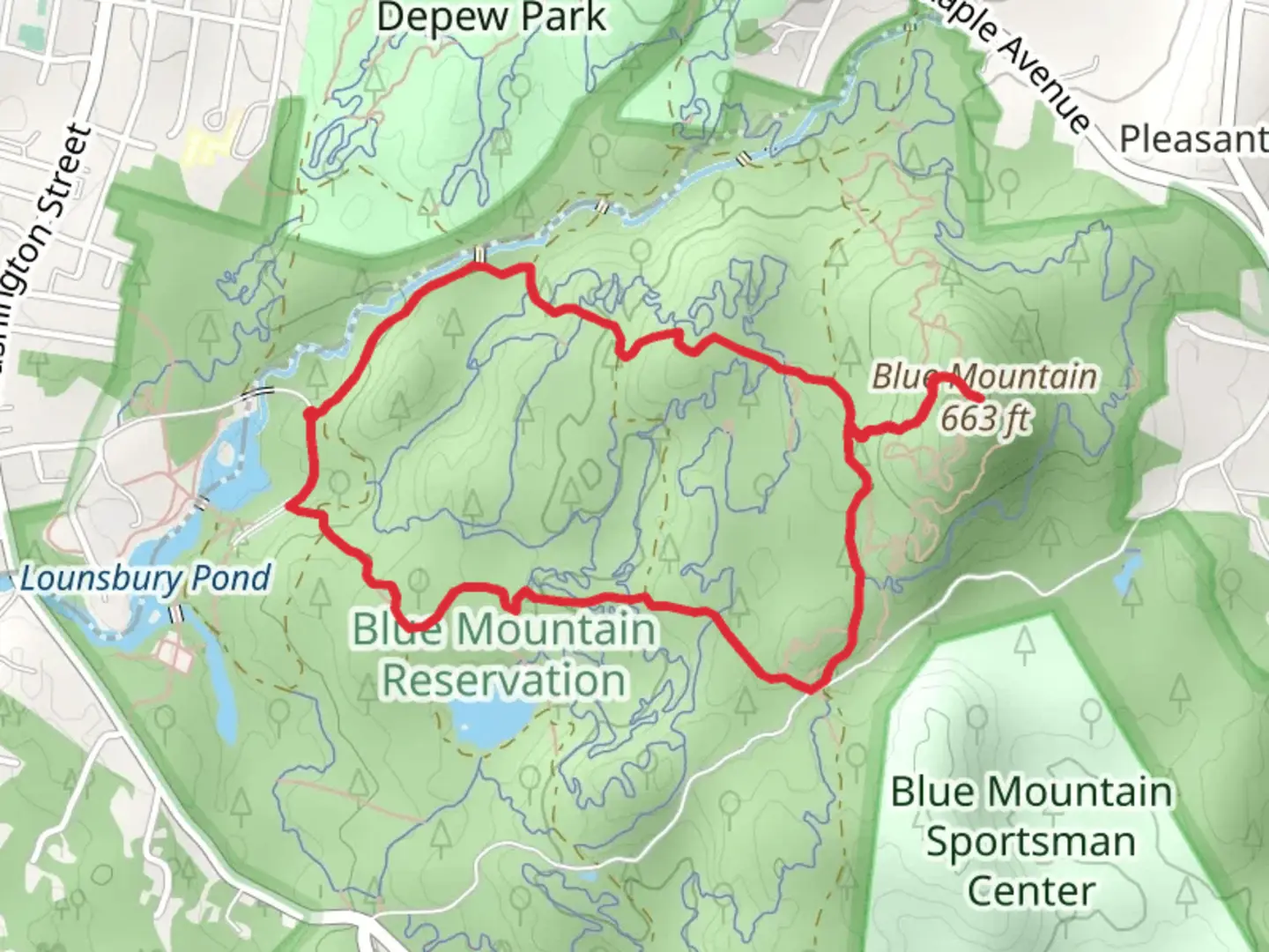 An image depicting the trail Blue Mountain Summit Trail and its surrounding area.